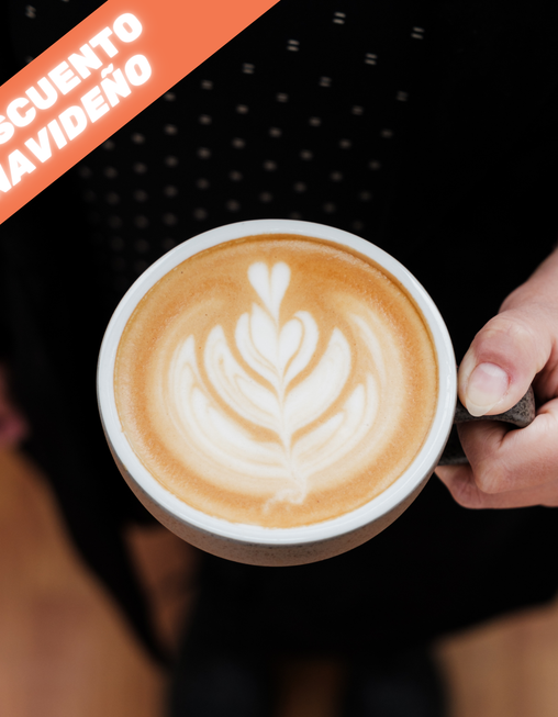 Curso Barista Integral